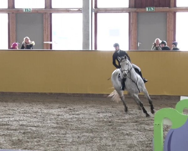 Reitturnier Prussendorf 2018