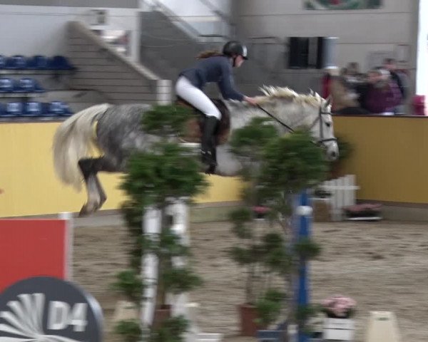 Reitturnier Prussendorf 2018