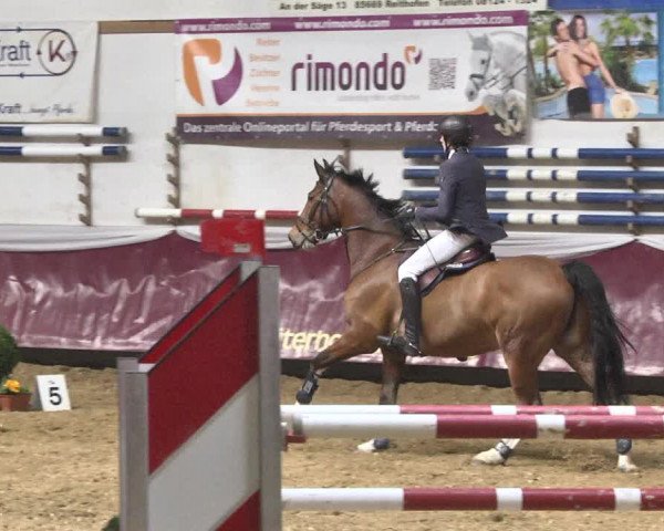 Reitturnier Eicherloh 2018