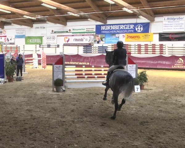 Reitturnier Eicherloh 2018