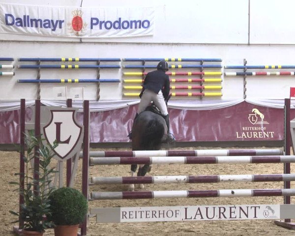 Reitturnier Eicherloh 2018