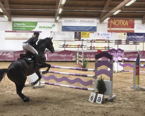Reitturnier Eicherloh 2018