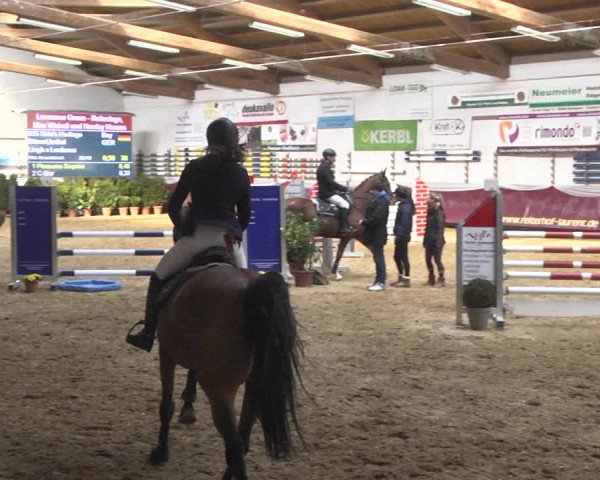 Reitturnier Eicherloh 2018