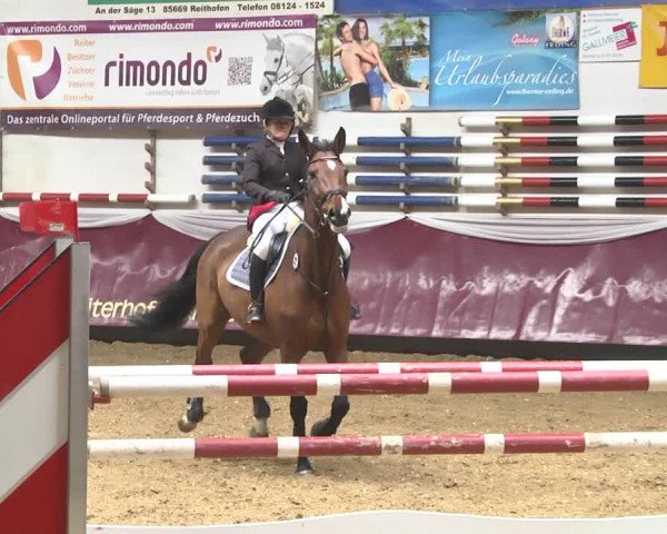 Reitturnier Eicherloh 2018