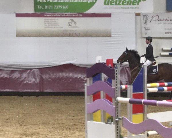 Reitturnier Eicherloh 2018