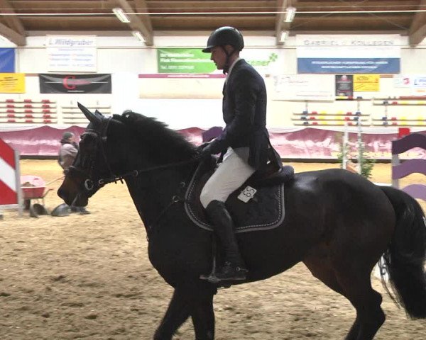 Reitturnier Eicherloh 2018