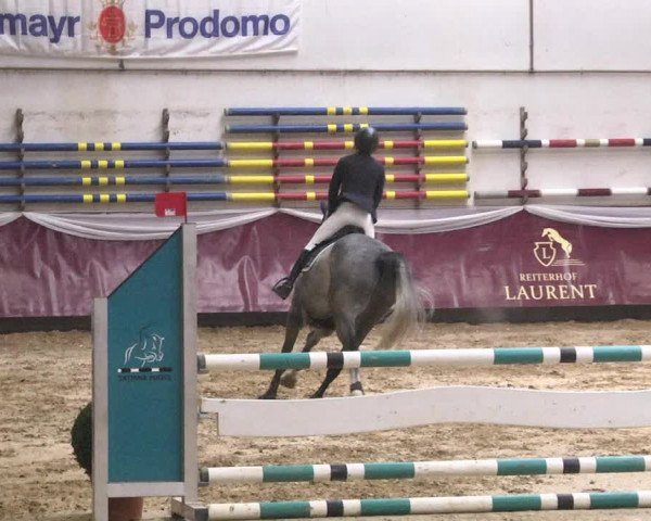 Reitturnier Eicherloh 2018
