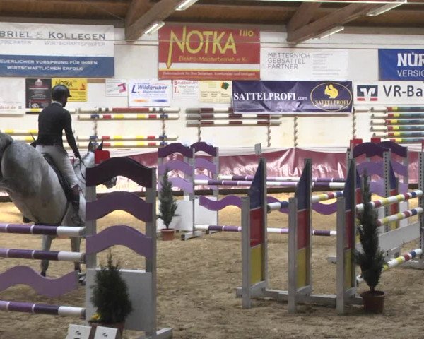 Reitturnier Eicherloh 2018
