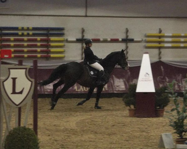 Reitturnier Eicherloh 2018