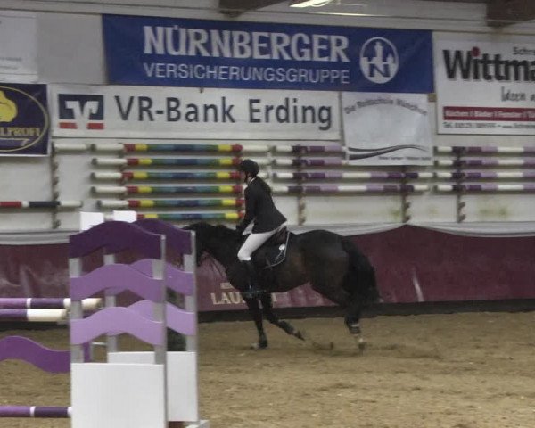 Reitturnier Eicherloh 2018