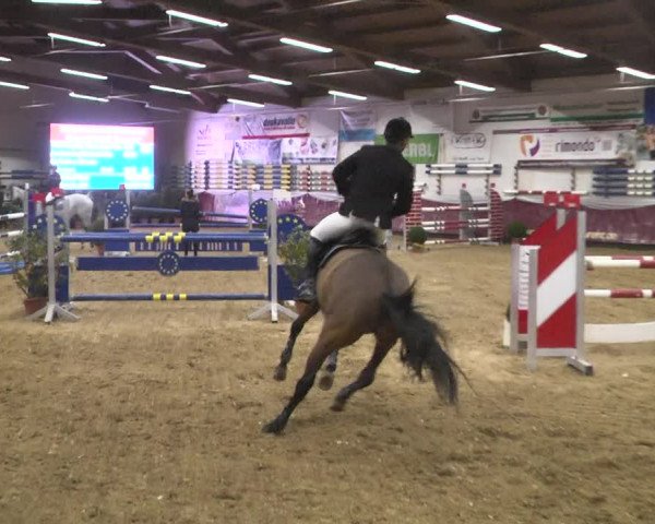 Reitturnier Eicherloh 2018