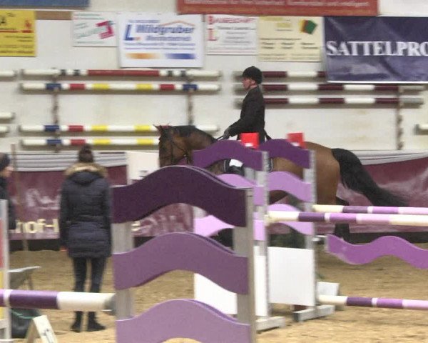 Reitturnier Eicherloh 2018