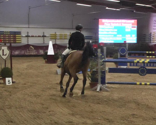 Reitturnier Eicherloh 2018