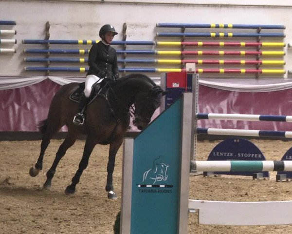 Reitturnier Eicherloh 2018