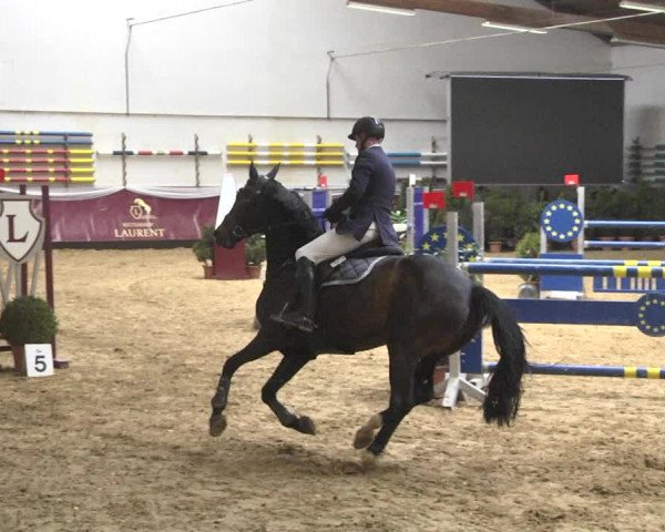 Reitturnier Eicherloh 2018
