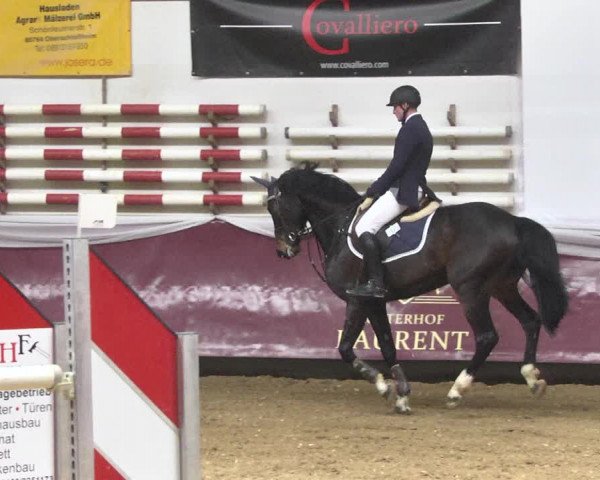 Reitturnier Eicherloh 2018
