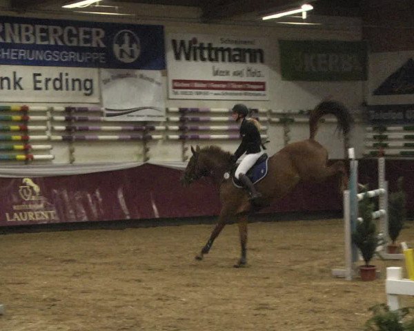 Reitturnier Eicherloh 2018