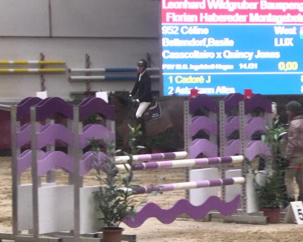 Reitturnier Eicherloh 2018