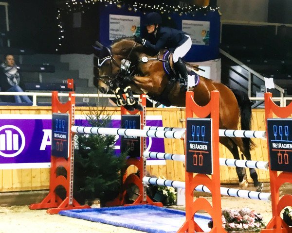 jumper Destiny 236 (Oldenburg show jumper, 2010, from Diarado)