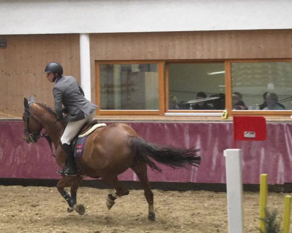 Reitturnier Eicherloh 2018