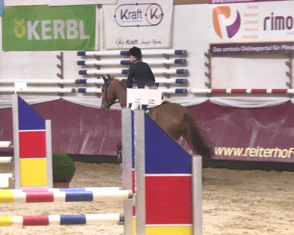 Reitturnier Eicherloh 2018