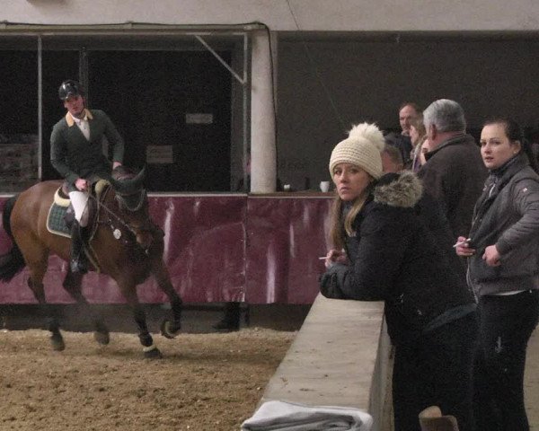 Reitturnier Eicherloh 2018