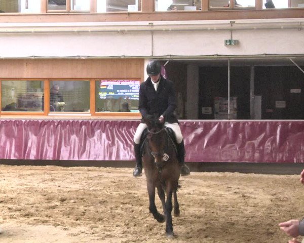 Reitturnier Eicherloh 2018