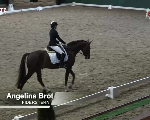 Horsepark Dressage Masters 2018