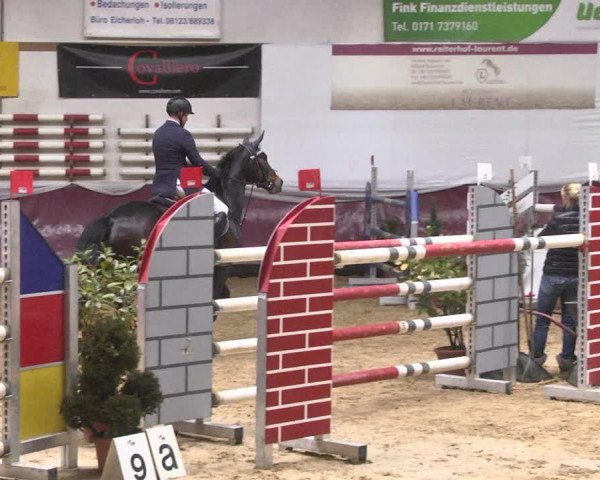 Reitturnier Eicherloh 2018