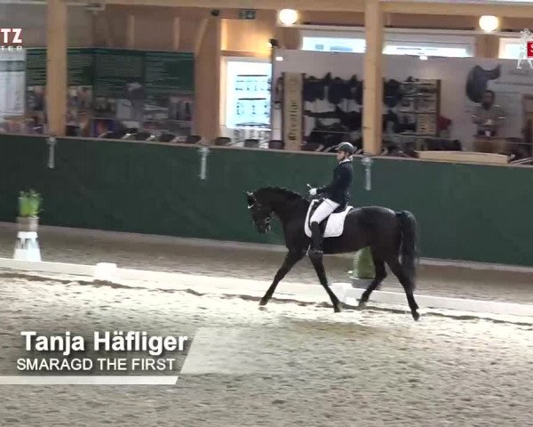 Horsepark Dressage Masters 2018