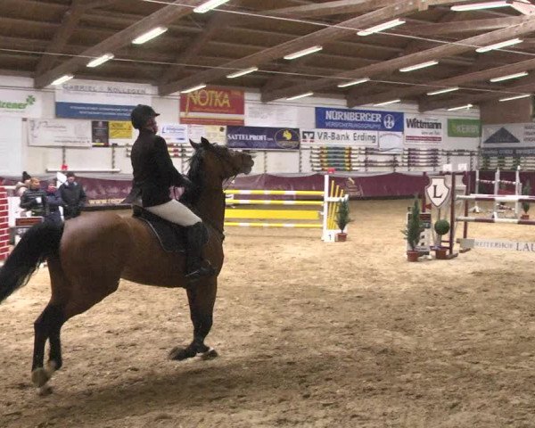 Reitturnier Eicherloh 2018