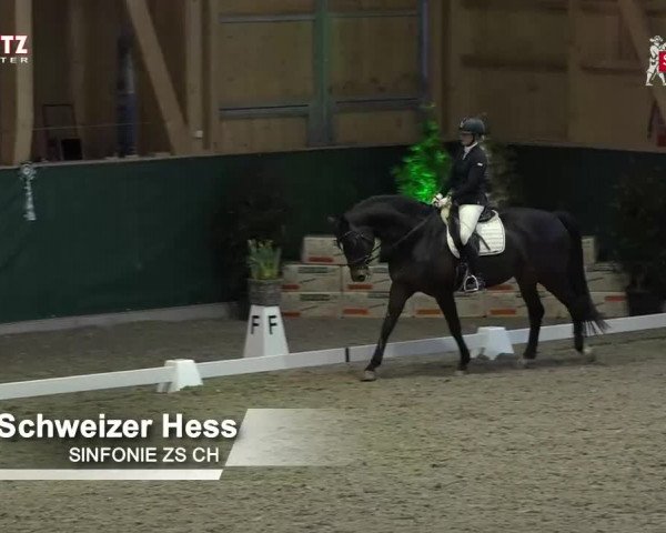 Horsepark Dressage Masters 2018