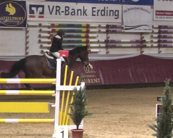 Reitturnier Eicherloh 2018