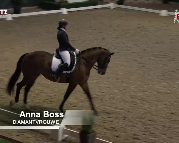 Horsepark Dressage Masters 2018