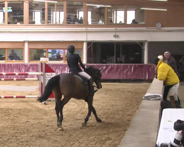 Reitturnier Eicherloh 2018