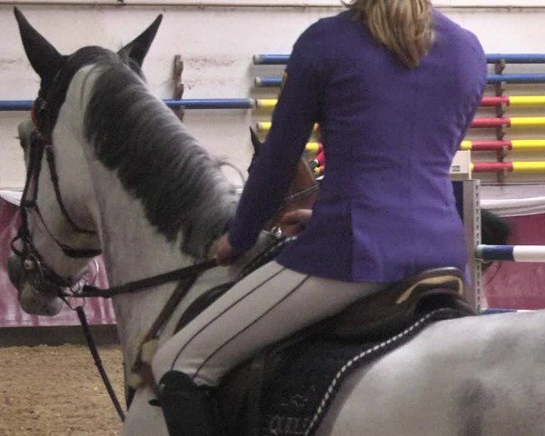 Reitturnier Eicherloh 2018