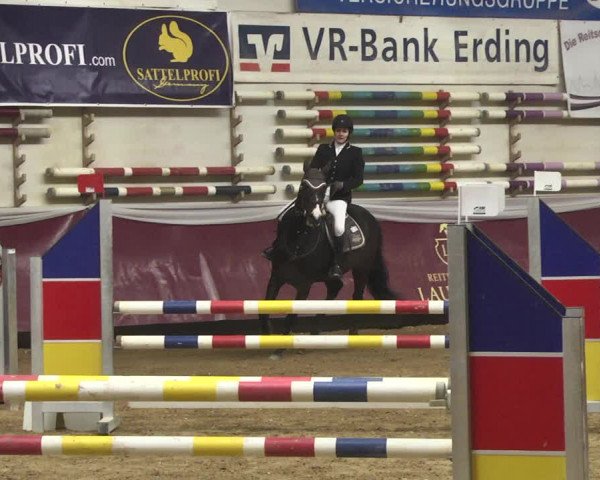 Reitturnier Eicherloh 2018