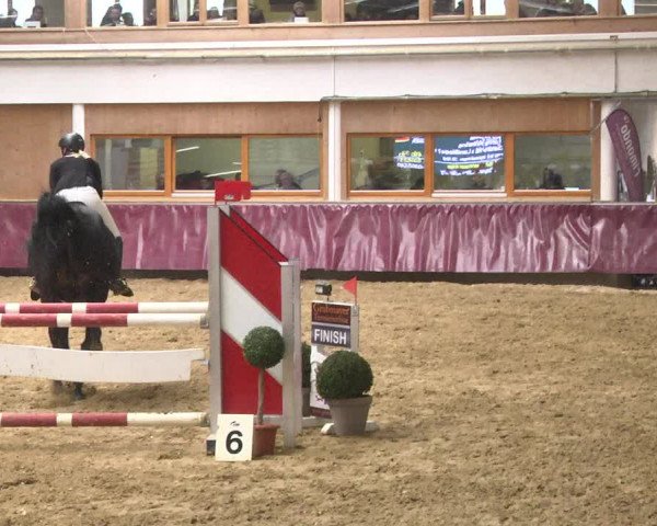 Reitturnier Eicherloh 2018