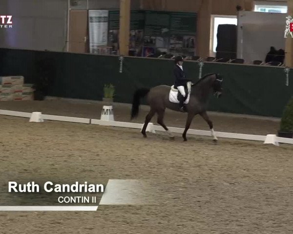 Horsepark Dressage Masters 2018