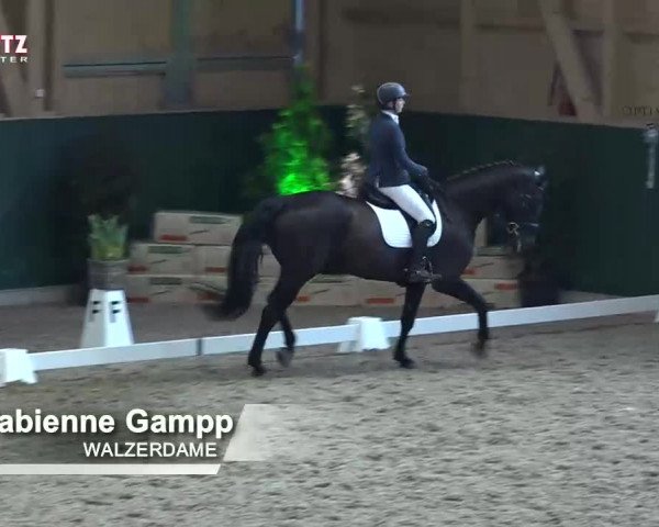 Horsepark Dressage Masters 2018