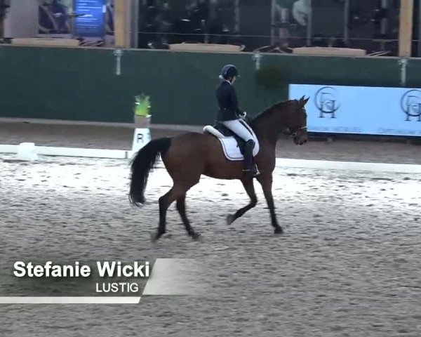 Horsepark Dressage Masters 2018