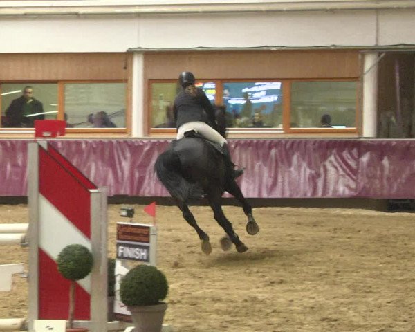 Reitturnier Eicherloh 2018