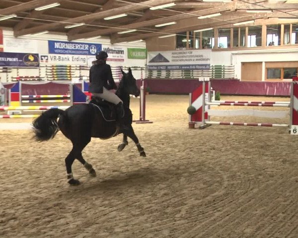 Reitturnier Eicherloh 2018