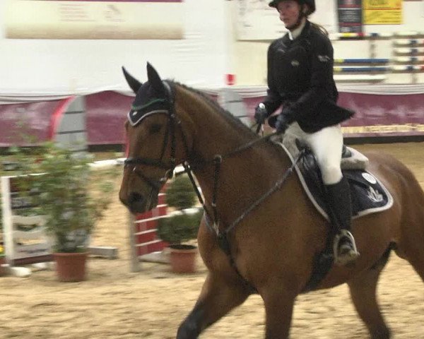 Reitturnier Eicherloh 2018