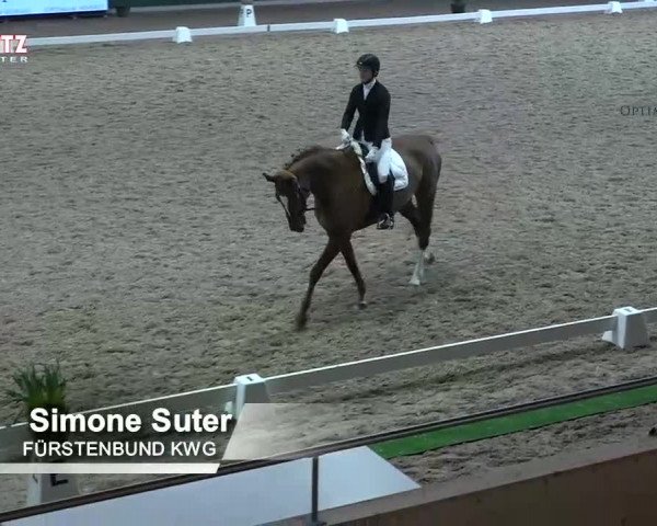 Horsepark Dressage Masters 2018