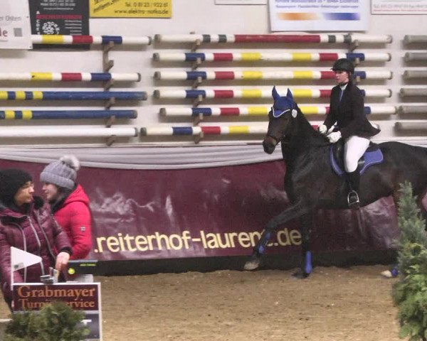 Reitturnier Eicherloh 2018