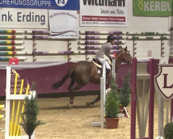 Reitturnier Eicherloh 2018