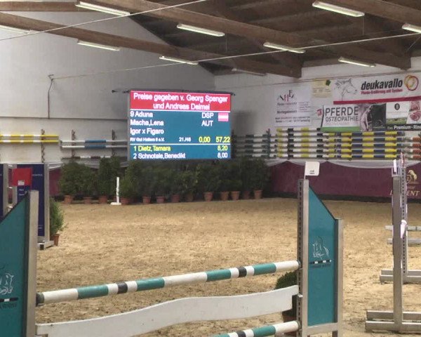 Reitturnier Eicherloh 2018