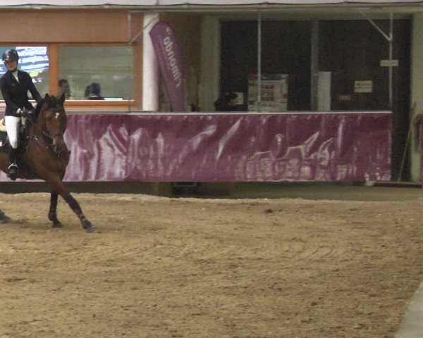 Reitturnier Eicherloh 2018