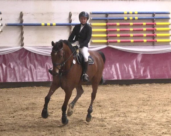 Reitturnier Eicherloh 2018